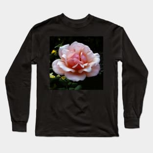 Pale Pink Rose Flower Close-up Long Sleeve T-Shirt